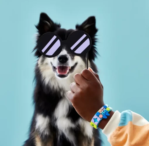 Set constructie Lego Dots My Pets Bracelet, 37 elemente cumpăra în Chișinau