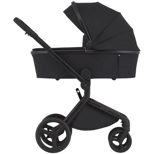 Коляска 2/1 Anex Flo Lungo купить в Кишиневе