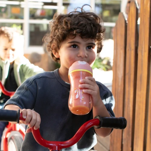 Термокружка с трубочкой Chicco Peach (14 мес.+), 266 мл купить в Кишиневе