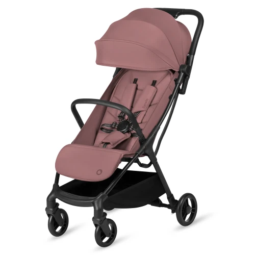 Прогулочная коляска Lionelo Agia Pink Mauve купить в Кишиневе