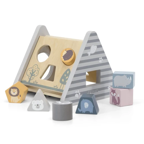 Игрушка сортер Viga Домик купить в Кишиневе