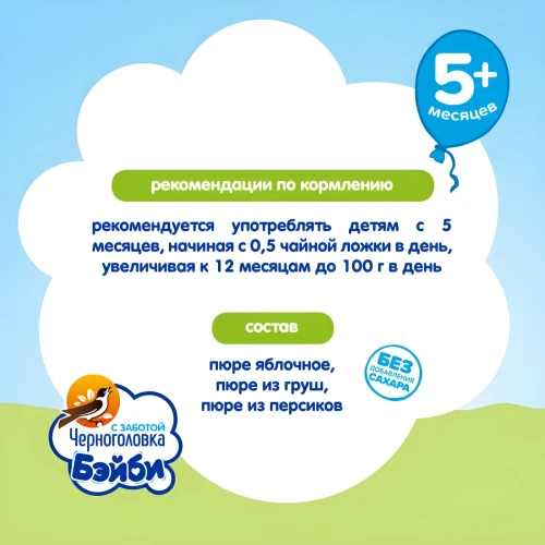 Piure Черноголовка Salată de fructe din măr-pară-piersic (5 luni +), 85 g cumpăra în Chișinau