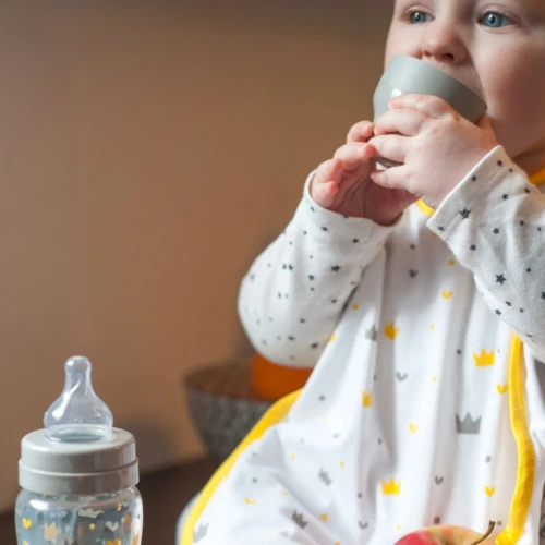 Biberon din sticlă Beaba Crown 240 ml Bleu cumpăra în Chișinau