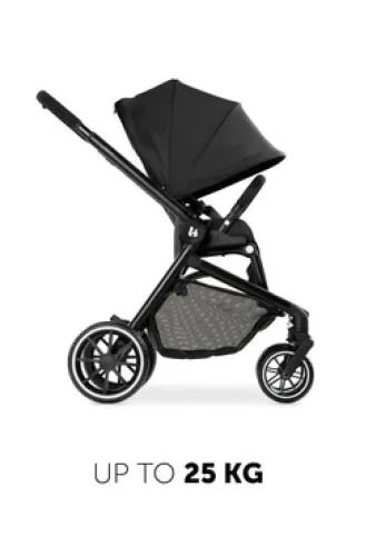 Коляска 2 в 1 Hauck Move so Simply Black купить в Кишиневе