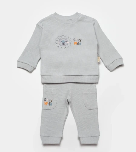 Комплект из 2 штук BabyCosy Grey (9-12М) купить в Кишиневе