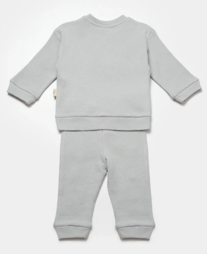 Комплект из 2 штук BabyCosy Grey (9-12М) купить в Кишиневе