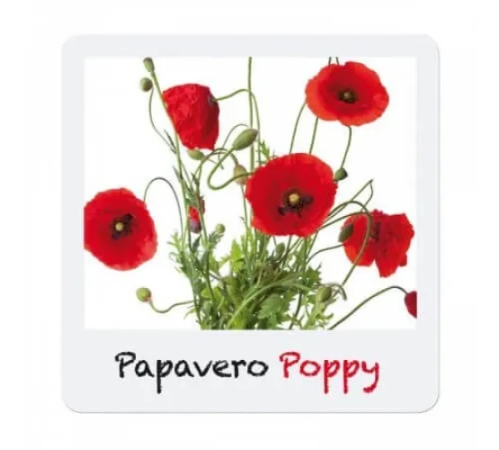 Set de joacă Quercetti Mac roșu cumpăra în Chișinau