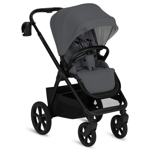 Коляска 2/1 Lionelo Carmine Grey Stone купить в Кишиневе