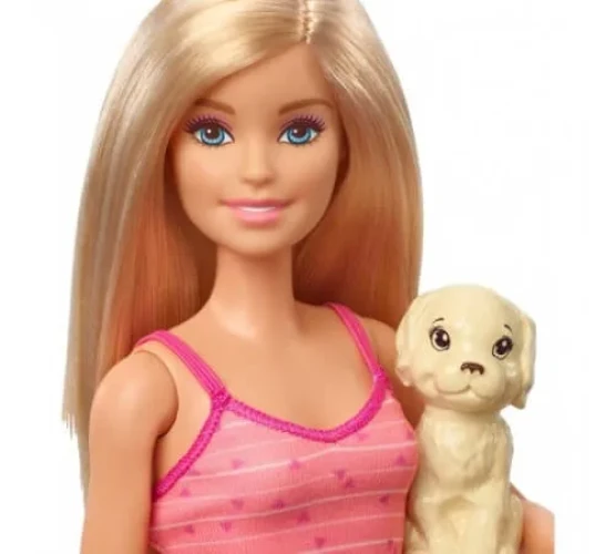 Set cu păpușă Barbie "Scaldă cățelușul" cumpăra în Chișinau