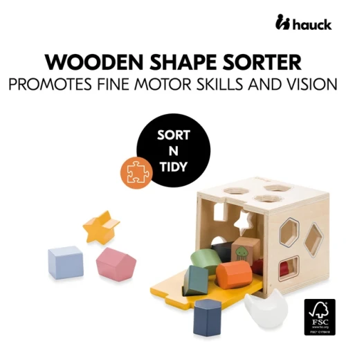 Игрушка сортер Hauck Sort N Tidy купить в Кишиневе