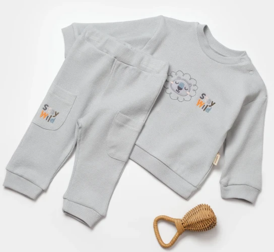 Комплект из 2 штук BabyCosy Grey (3-6М) купить в Кишиневе