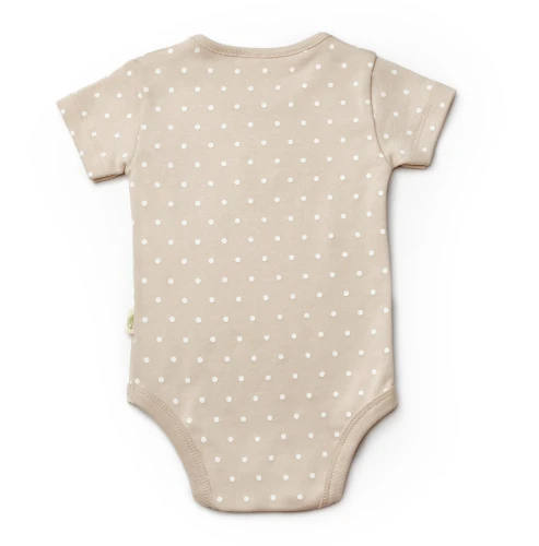 Боди с коротким рукавом BabyCosy Ivory & Ecru, 2 шт. (18-24М) купить в Кишиневе