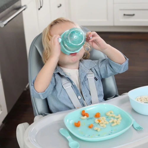 Поильник Chicco Perfect 360 Grey (12 мес.+), 200 мл купить в Кишиневе