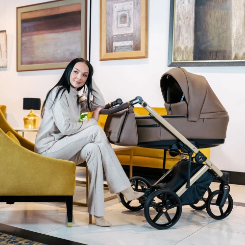 Cărucior 2 in 1 cu bloc reversibil Coletto Fado Beige&Black cumpăra în Chișinau
