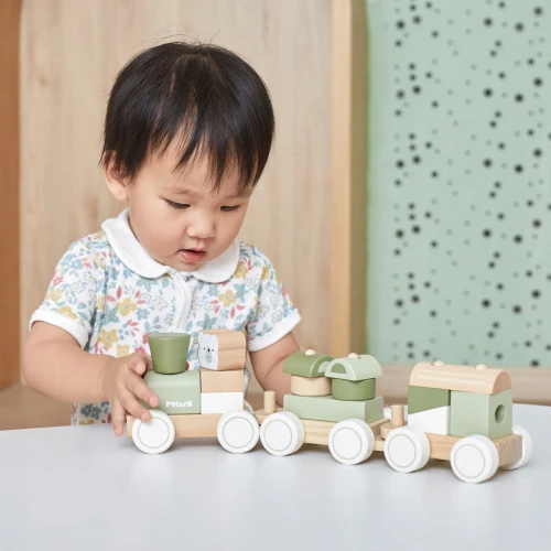Игрушка сортер Viga Зеленый паровозик купить в Кишиневе