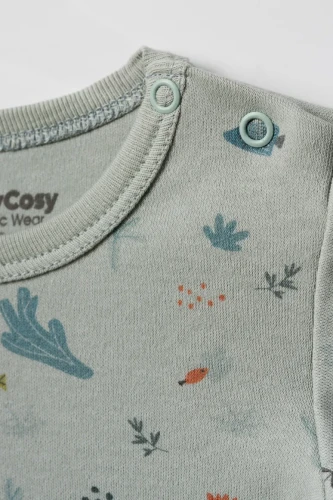 Боди с длинным рукавом BabyCosy Green & Ecru, 2 шт. (12-18М) купить в Кишиневе
