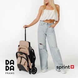 Коляска 2 в 1 Dada Flux Beige купить в Кишиневе. Фото 26