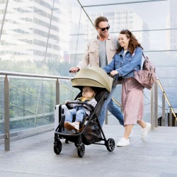 Carucior de plimbare Graco Myavo Mulberry cumpăra în Chișinau. Foto 5