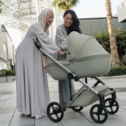 Коляска 2/1 Anex Eli Excite купить в Кишиневе. Фото 14