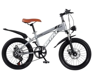 Велосипед Epid Pollux Grey, колёса 20 купить в Кишиневе