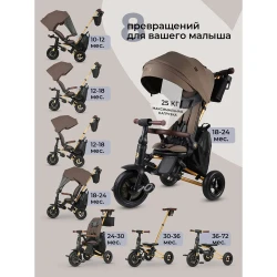 Трёхколёсный велосипед QPlay Nova Deluxe Brown купить в Кишиневе. Фото 6