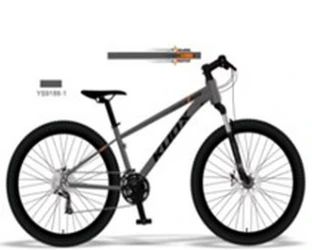 Bicicleta Epid Kuox Grey & Black, roți 24 cumpăra în Chișinau