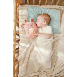 Jucărie interactivă Hape Huggy Roro cumpăra în Chișinau. Foto 5