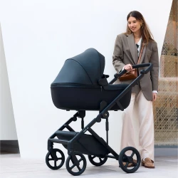 Коляска 2 в 1 Anex Eli Midnight купить в Кишиневе. Фото 12