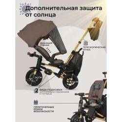 Трёхколёсный велосипед QPlay Nova Deluxe Grey купить в Кишиневе. Фото 6