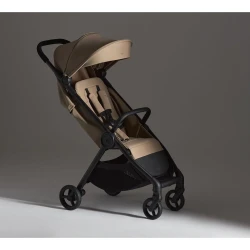 Carucior 2 in 1 Anex IQ Basic Honey cumpăra în Chișinau. Foto 10