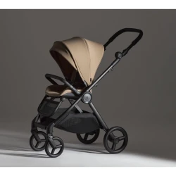 Carucior 2 in 1 Anex IQ Basic Honey cumpăra în Chișinau. Foto 8