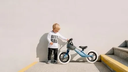 Bicicletă fără pedale Lionelo Bart Goldie cumpăra în Chișinau. Foto 8