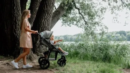 Прогулочная коляска Lionelo Annet Tour Green Turquoise купить в Кишиневе. Фото 10