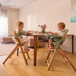 Scaun pentru hranire 3 în 1 Lionelo Megan Green Wood cumpăra în Chișinau. Foto 7