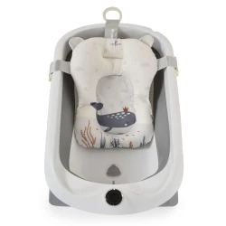 Set cădiță pliabilă cu termometru Moni Balena Grey, 5 piese cumpăra în Chișinau. Foto 4
