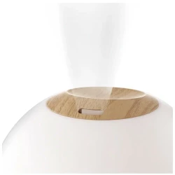 Umidificator de aer Jane Moon cumpăra în Chișinau. Foto 2