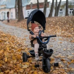 Детский трицикл Lionelo Kori Blue Navy купить в Кишиневе. Фото 27