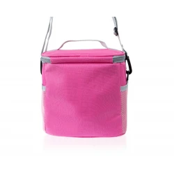 Geantă termoizolantă BabyJem Pink cumpăra în Chișinau. Foto 3