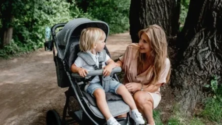 Прогулочная коляска Lionelo Annet Tour Green Turquoise купить в Кишиневе. Фото 11