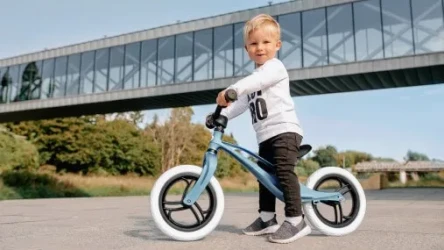 Bicicletă fără pedale Lionelo Bart Sky Blue cumpăra în Chișinau. Foto 9