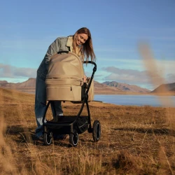 Carucior 2 in 1 Lionelo Meril Beige Sand cumpăra în Chișinau. Foto 17
