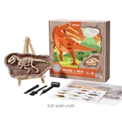 Set de creatie Mideer Revive, T.Rex cumpăra în Chișinau. Foto 3