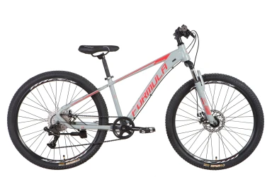 Велосипед Formula Zephyr 3.0 Grey & Red, колёса 26 купить в Кишиневе. Фото 1
