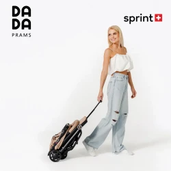 Коляска 2/1 Dada Flux Almond купить в Кишиневе. Фото 30