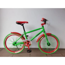 Bicicletă Junior Green, roți 20" cumpăra în Chișinau